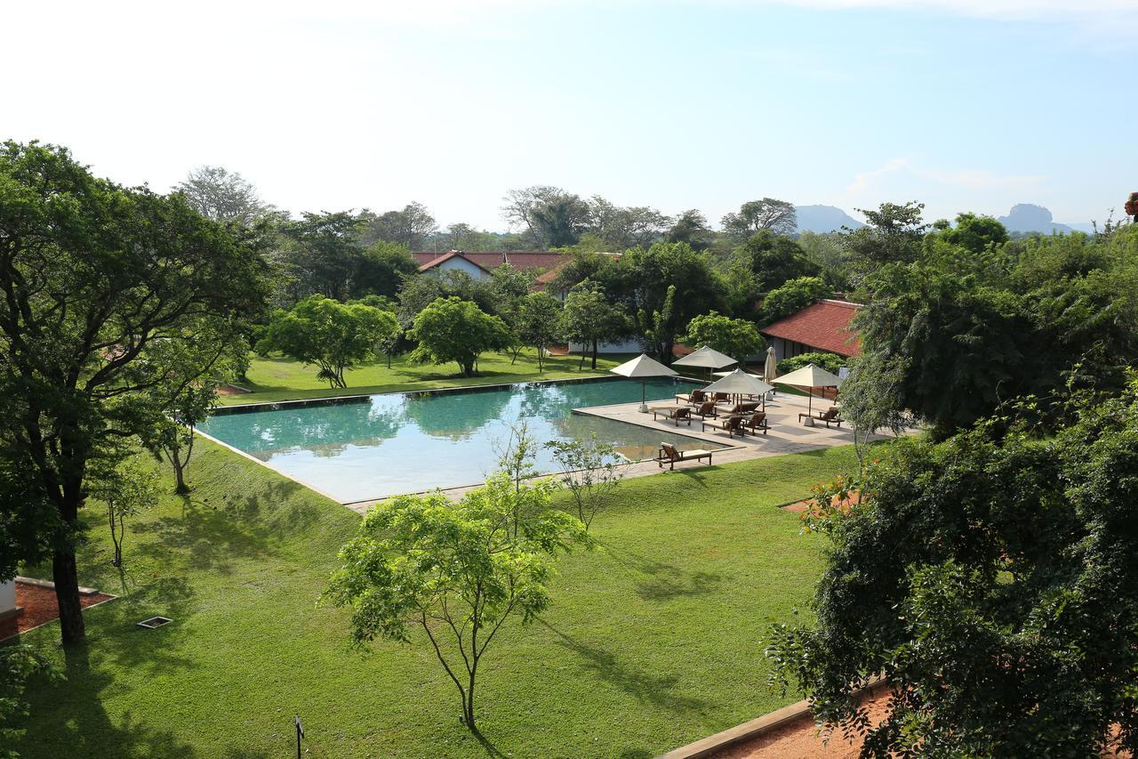Sigiriya Jungles Hotel Buitenkant foto